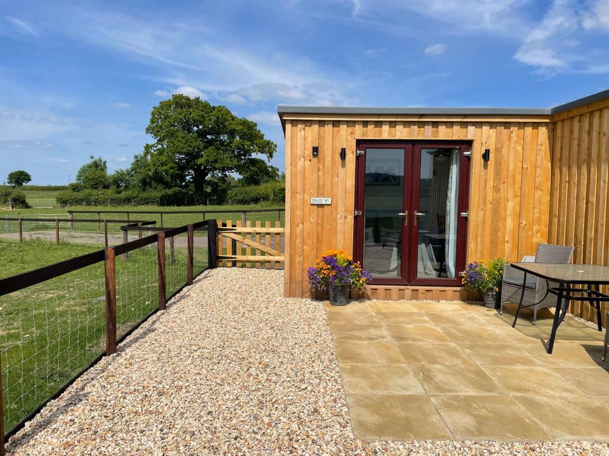 Mallard S Retreat Blandford Forum Exterior photo