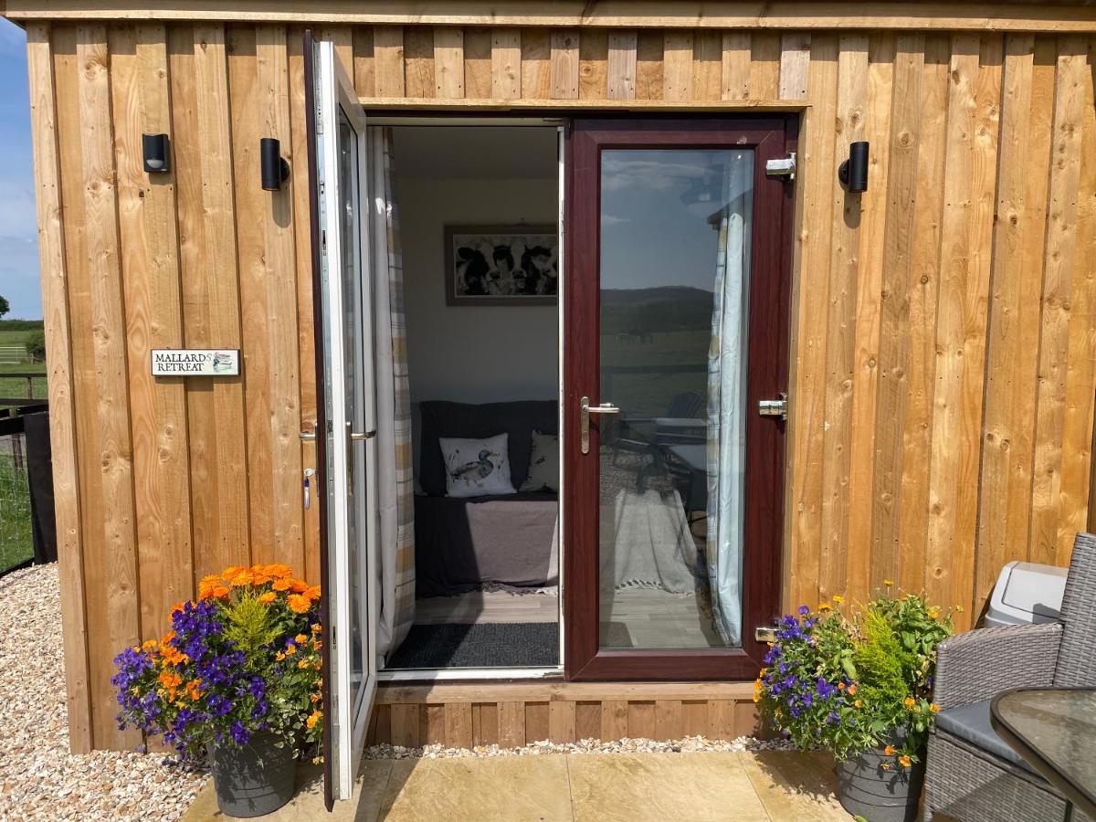 Mallard S Retreat Blandford Forum Exterior photo